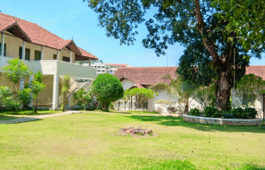 Open Lawn